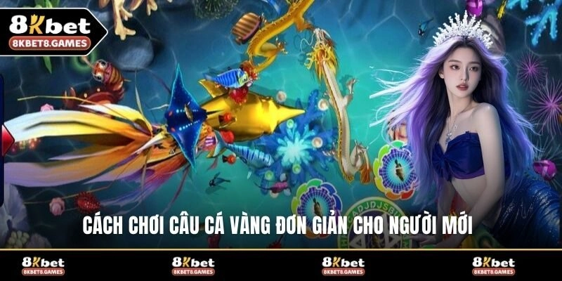 Cách chơi câu cá vàng đơn giản cho người mới