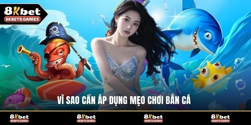 Vì sao cần áp dụng mẹo chơi bắn cá?